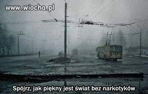 Reality-show