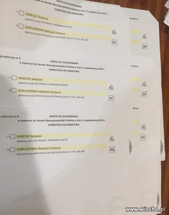 Inteligencja pisujących