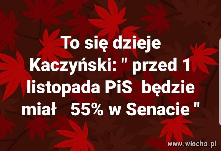 Podkupią czy sprawią, że konkurenci będą w ten ...