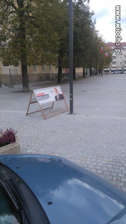 W rynku w Oławie tylko PIS może...