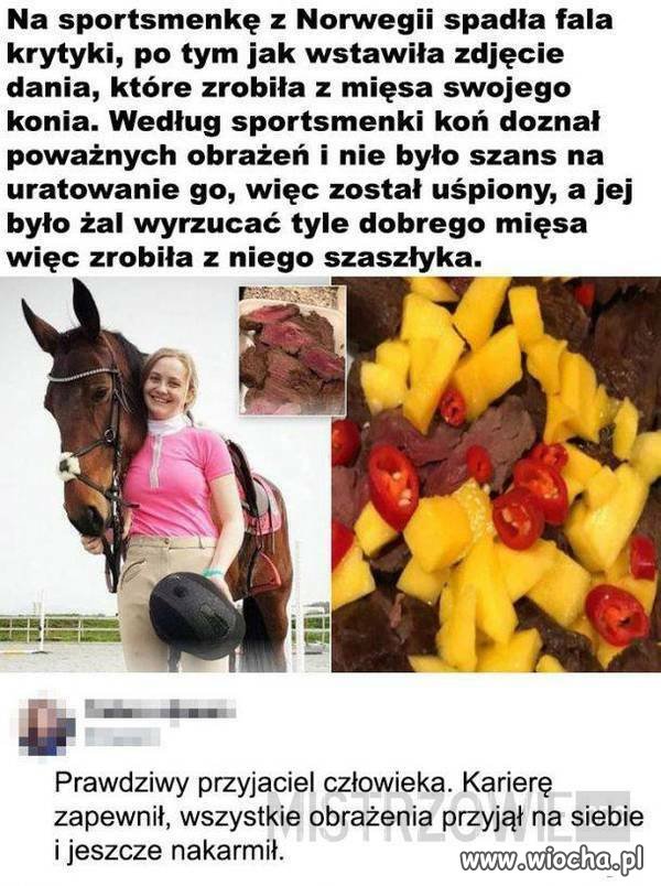 Zjadła przyjaciela