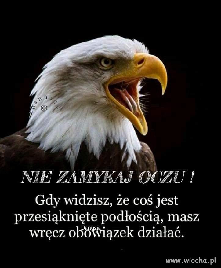 Pamiętaj o tym 13.10. Nie pozwólmy tym ch.jom 