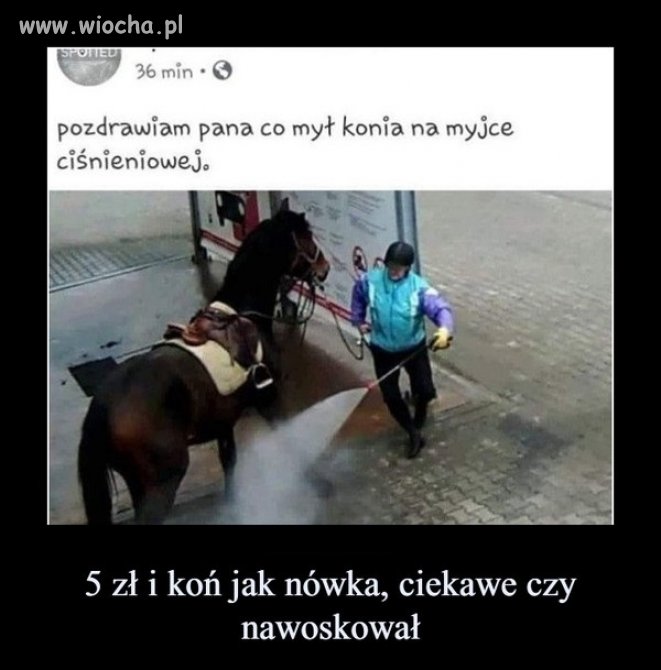 Koń jak nówka