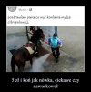 Koń jak nówka