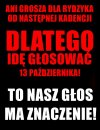 Głosuj mądrze ...