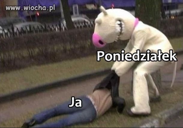 Takie prawdziwe