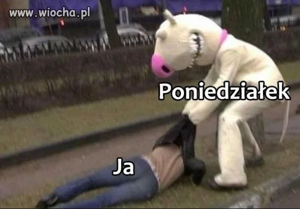Takie prawdziwe