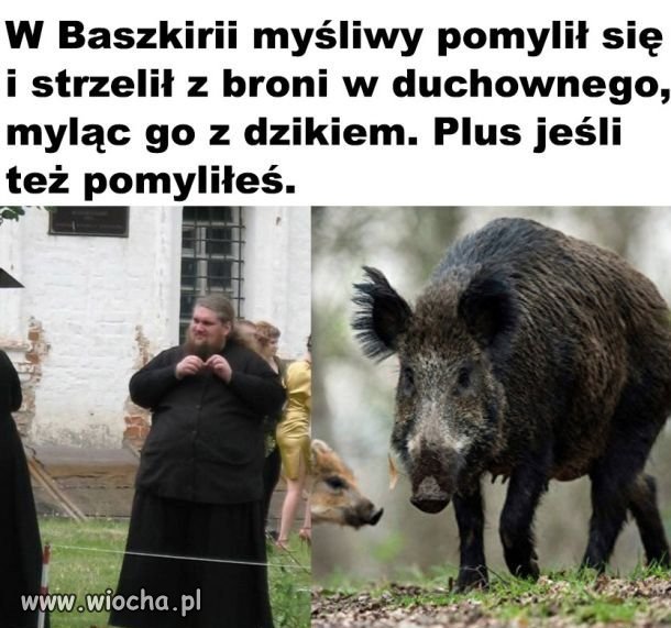 Nieszkodliwa pomyłka 