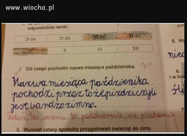 Etymologicznie