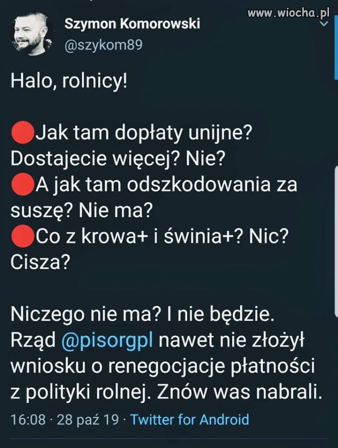 Czyli norma