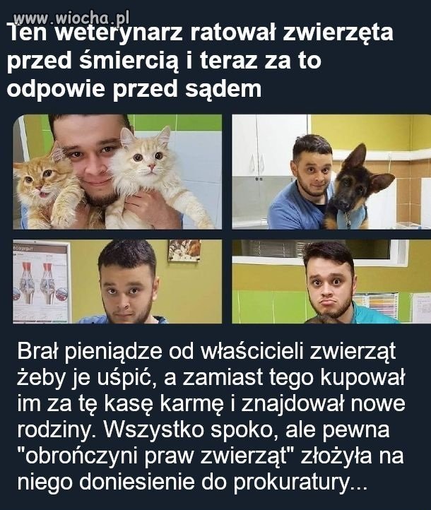 Kiedy kochasz zwierzęta...
