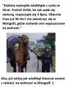 Kobieta wykupiła wielbłąda ...