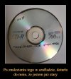 Ja pier... kur... mać