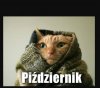 Październik
