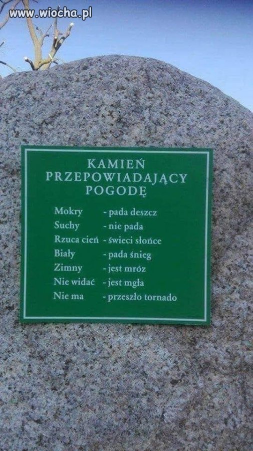 Tyle w temacie