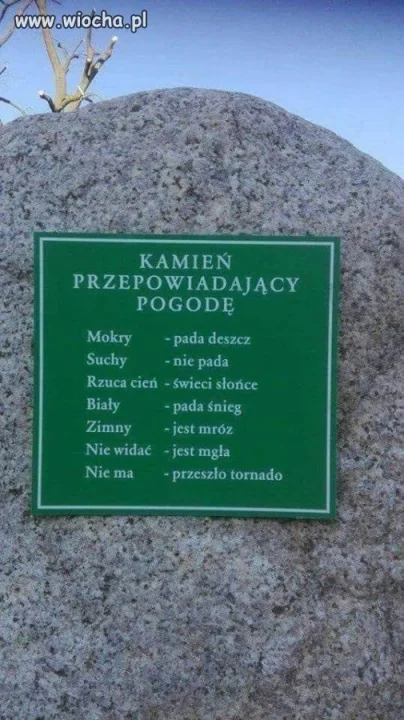 Tyle w temacie
