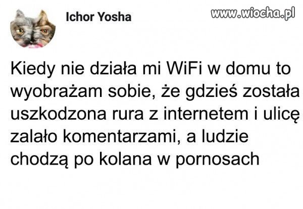 WiFi