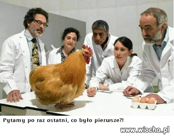 Pytania, które dręczą ludzkość