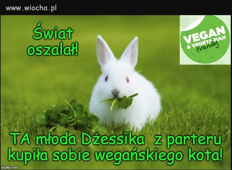 Vege Sierściuch!