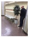 Teraz pójdzie w górę kwiatek.