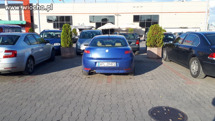 Mistrz parkowania 