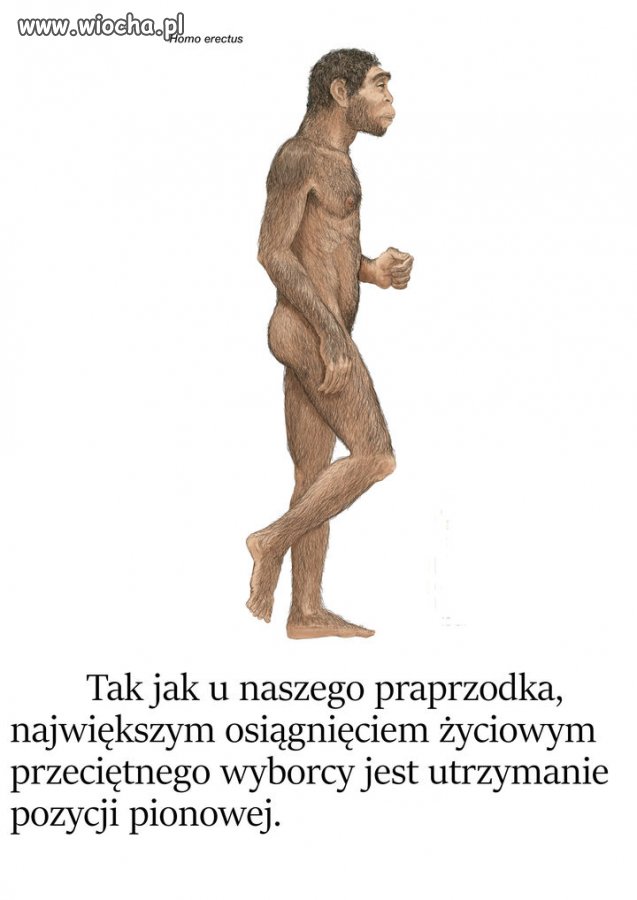 Taki mały prztyczek w nos