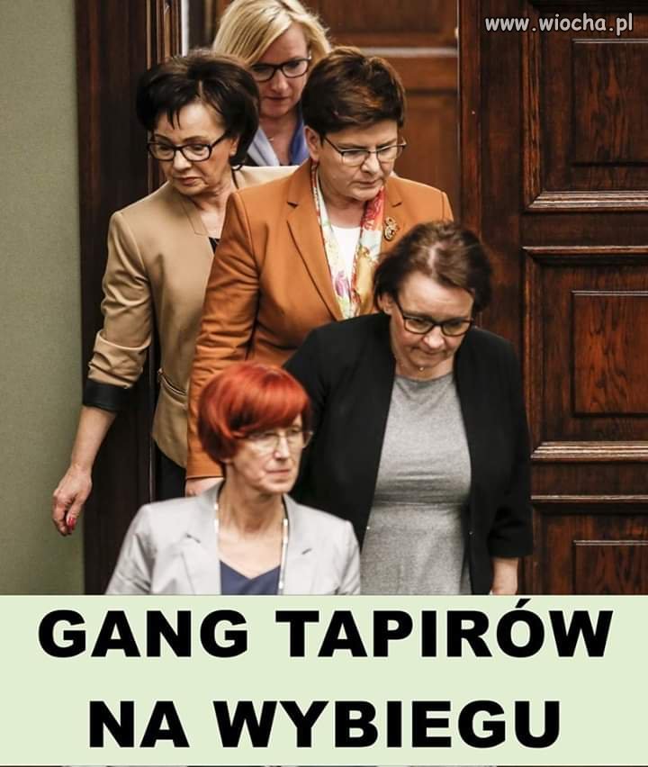 Gang.