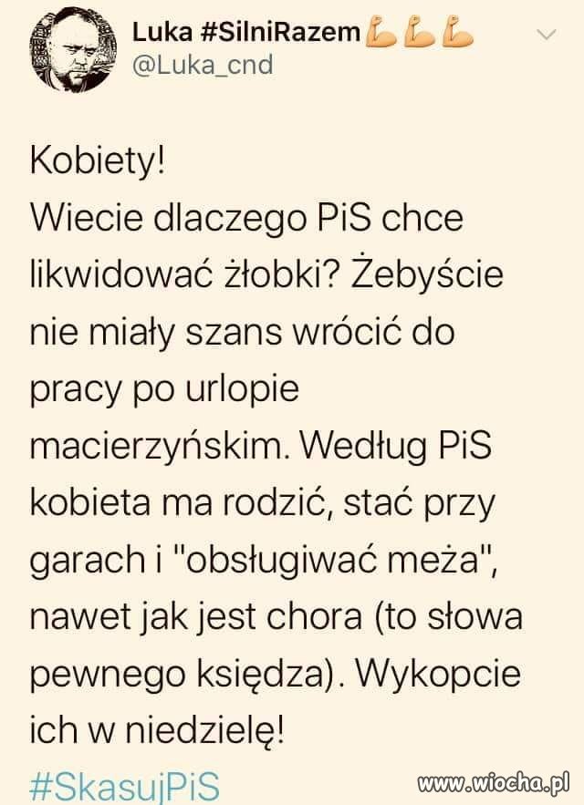 Program 