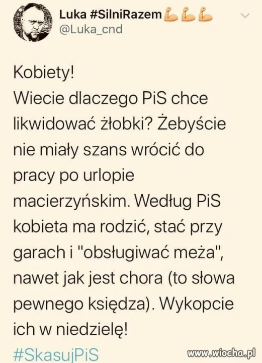 Program 