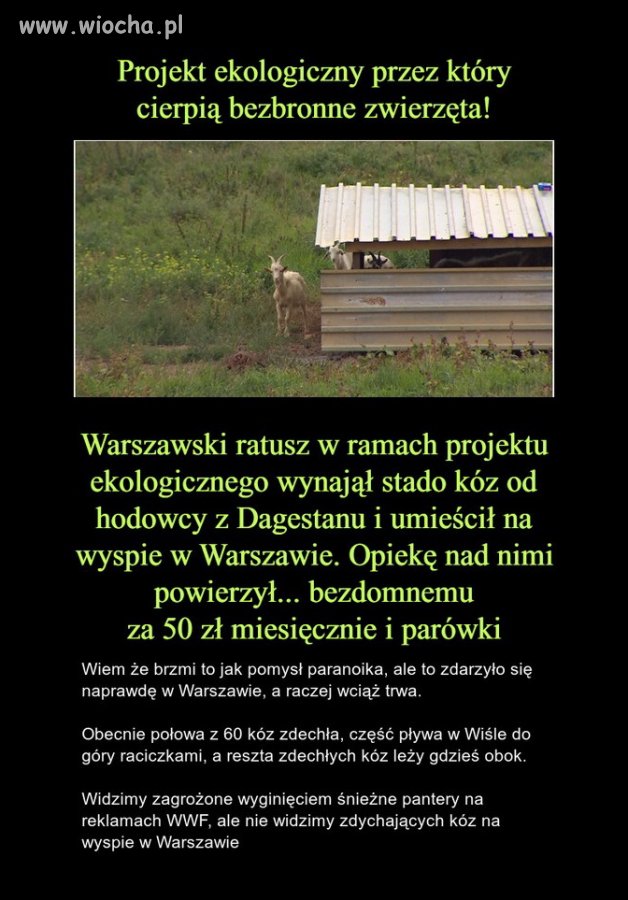Takie chore akcje tylko w stolicy