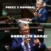 Tymczasem 