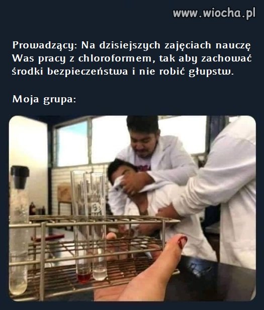 Laborka na studiach