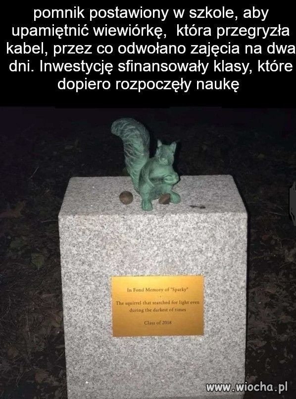 Oryginalny