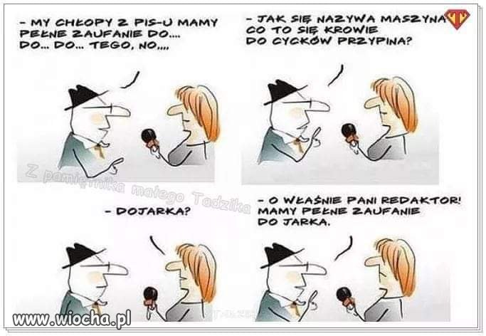 Typowa gadka