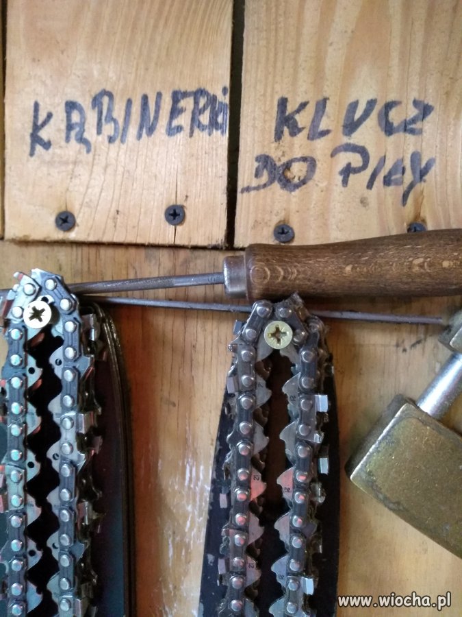 Gdzieś w tartaku