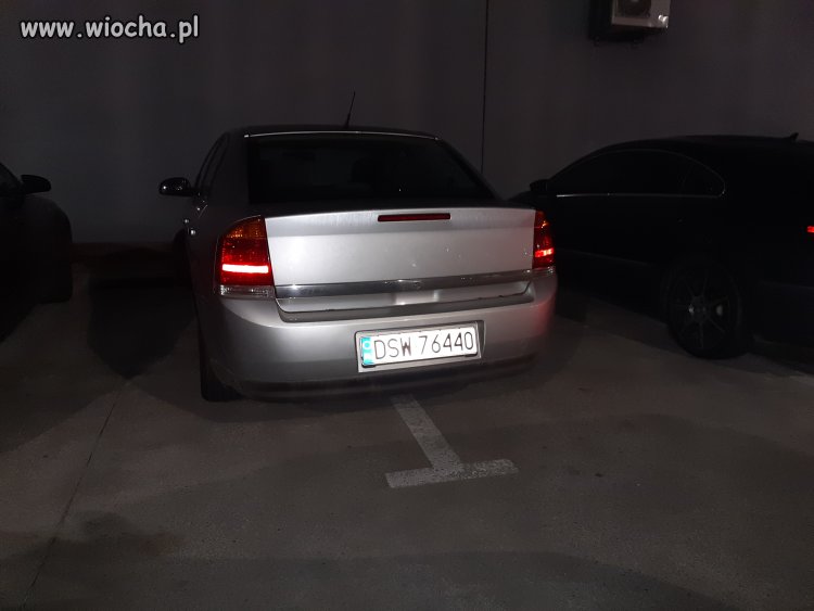 Mistrz parkowania