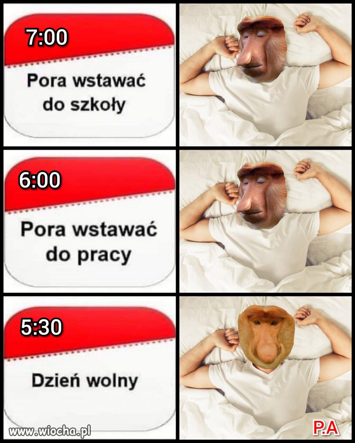 Wy też tak macie?