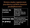 Taka mała różnica