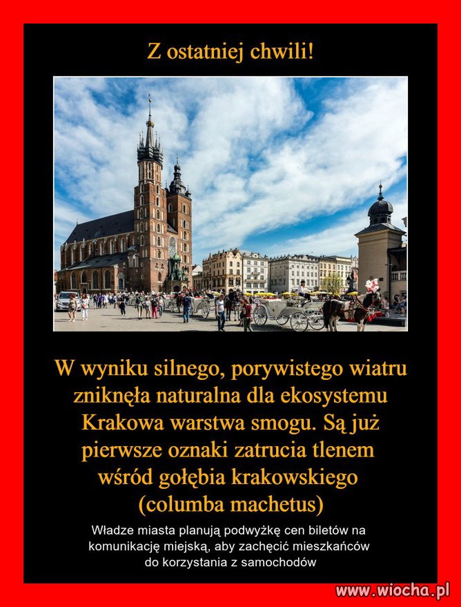 Tymczasem w Krakowie