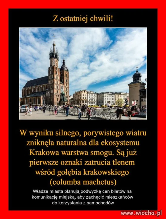 Tymczasem w Krakowie