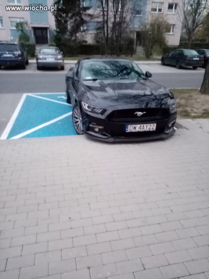 Mnie wolno bo na chwilkę 