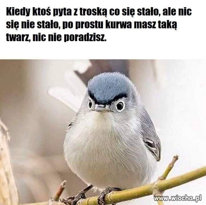 No jak nie...