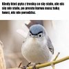No jak nie...