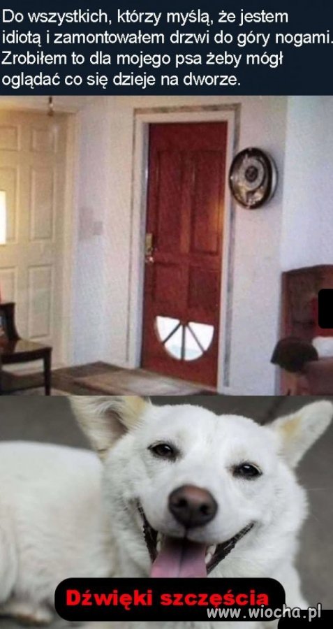 To się nazywa