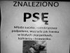 Znaleziono psę