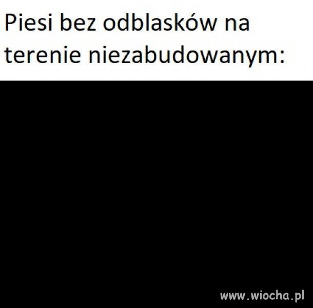 Piesi bez odblasków 