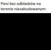 Piesi bez odblasków 