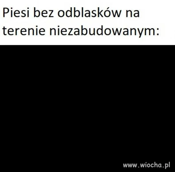 Piesi bez odblasków 