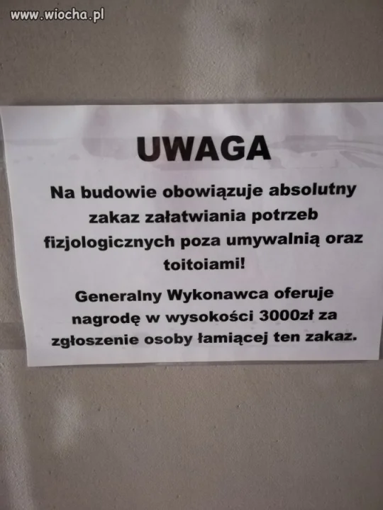 Płacenie za donoszenie 