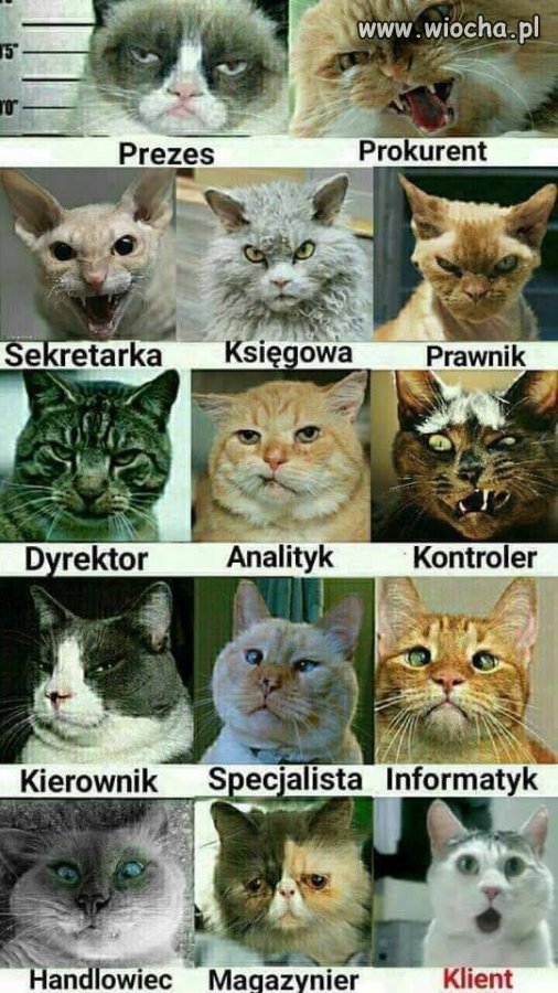 Coś w tym jest.